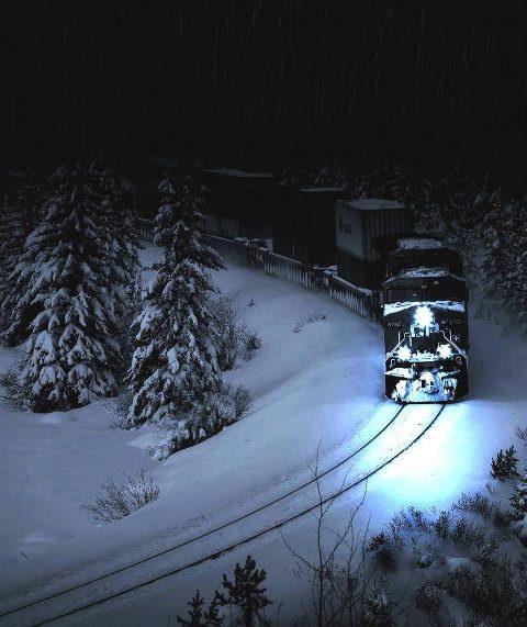 Vonat az éjszakában