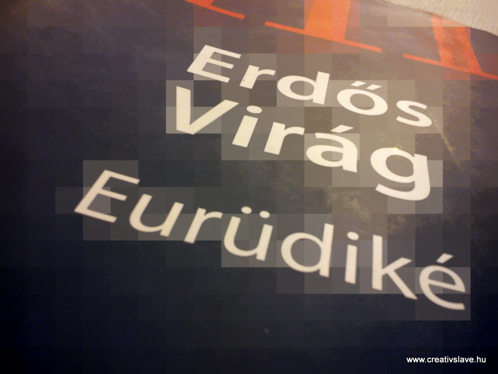 Erdős Virág: Eurüdiké